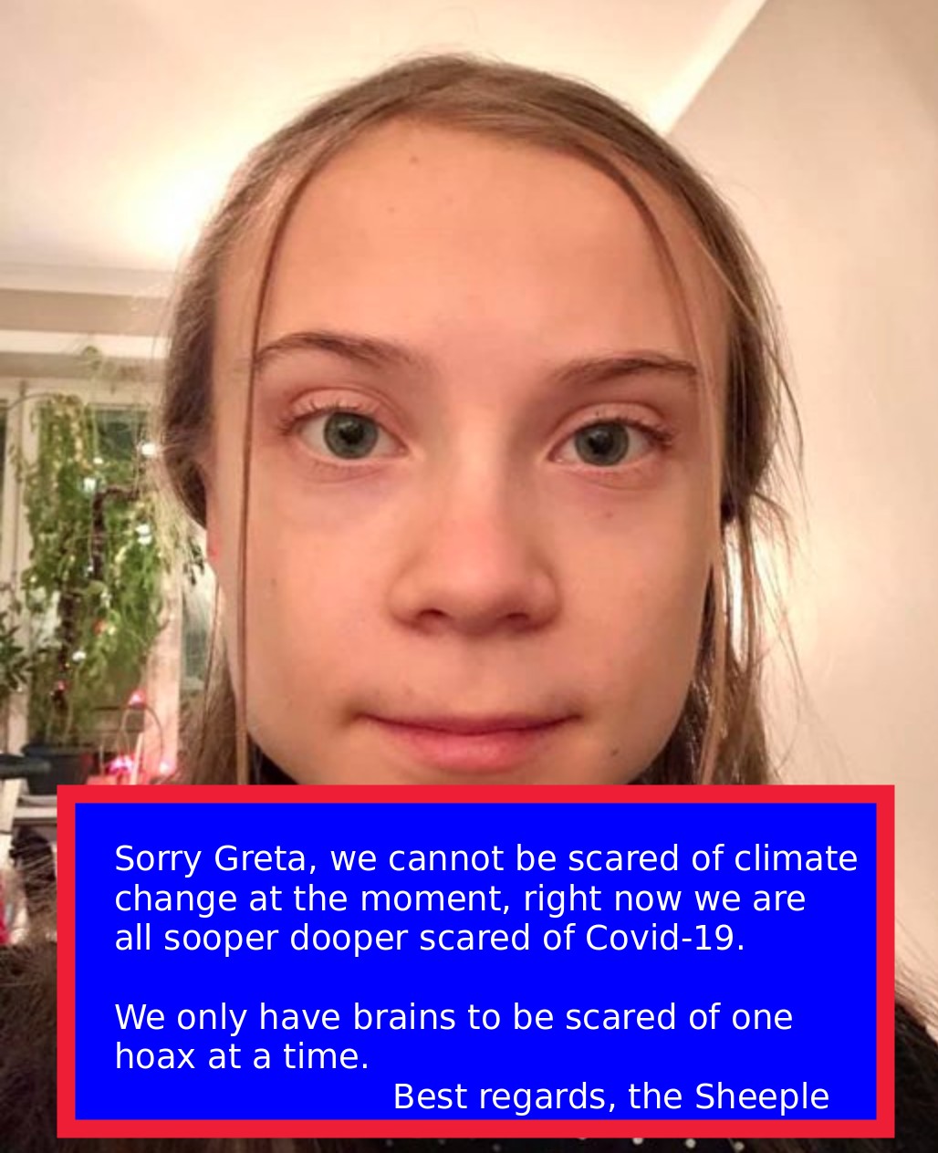 Sorry Greta Thunberg - we cannot be scare of climate change right now