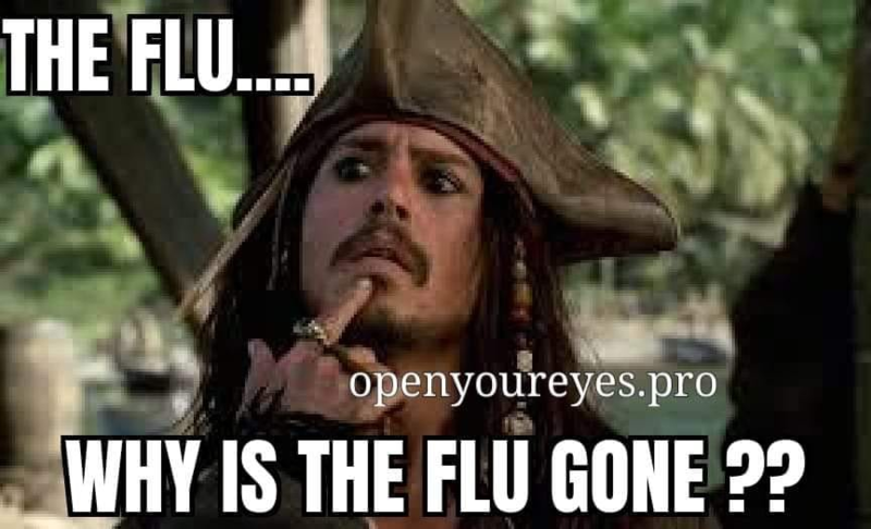 Where has the flu gone?